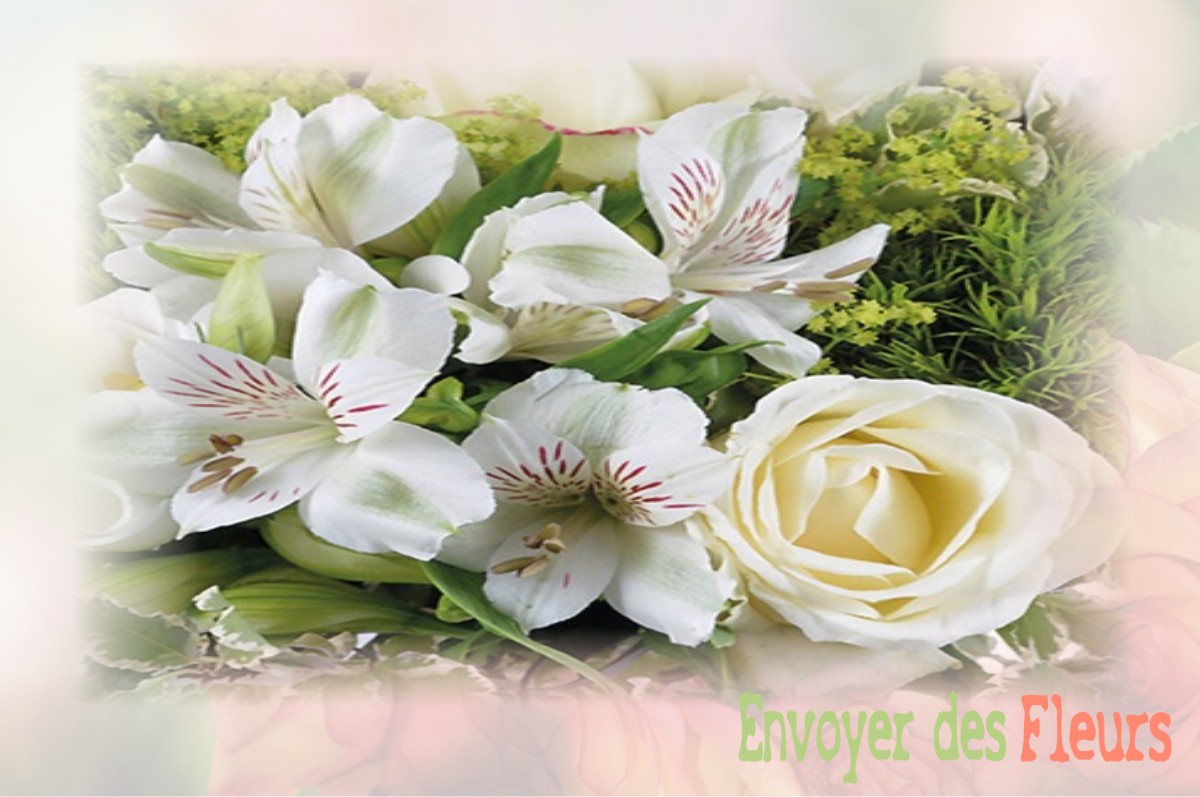 envoyer des fleurs à à SAINTE-CECILE-LES-VIGNES