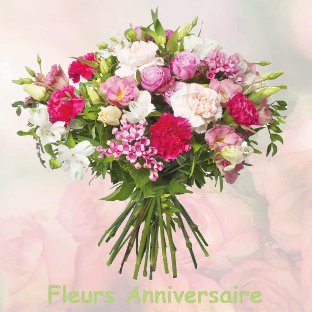 fleurs anniversaire SAINTE-CECILE-LES-VIGNES